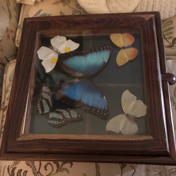 Wooden Box w/Butterflies - 463 $70 or $60 w/offer - Picture 2 of 7